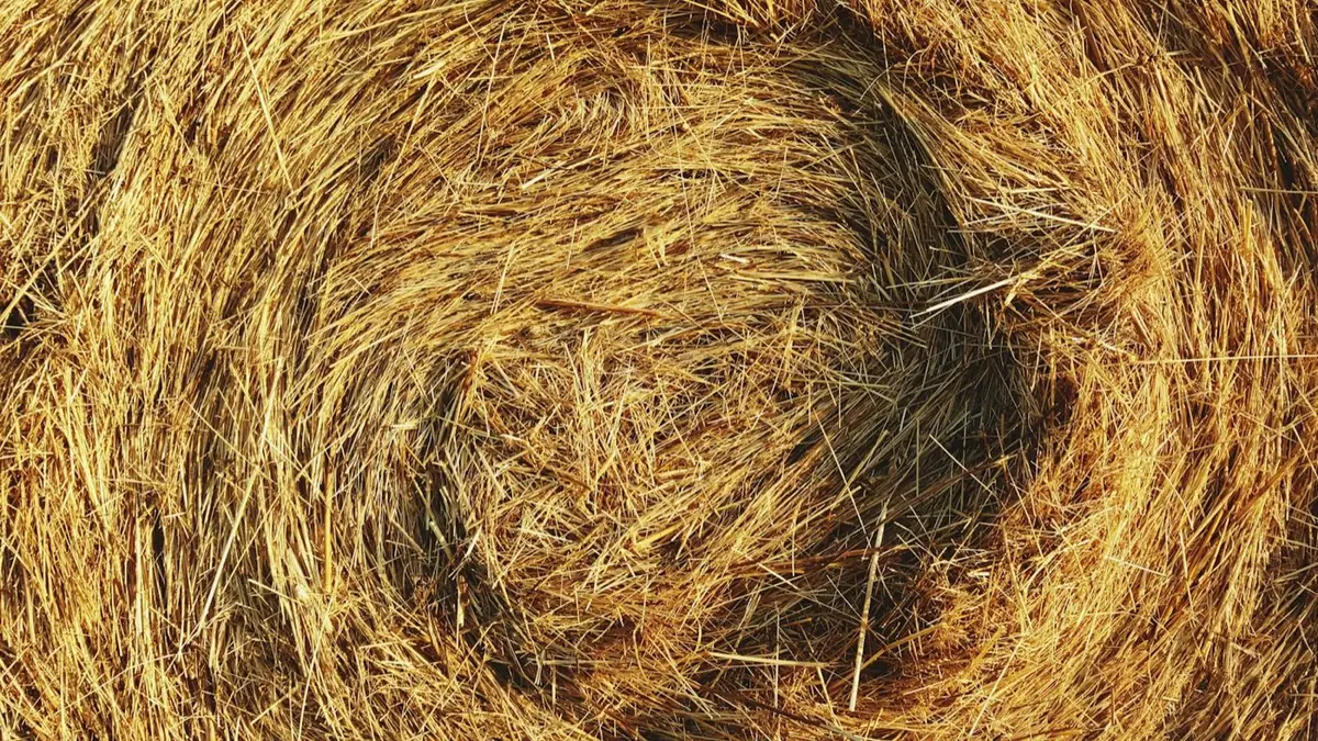 Straw bale, close-up